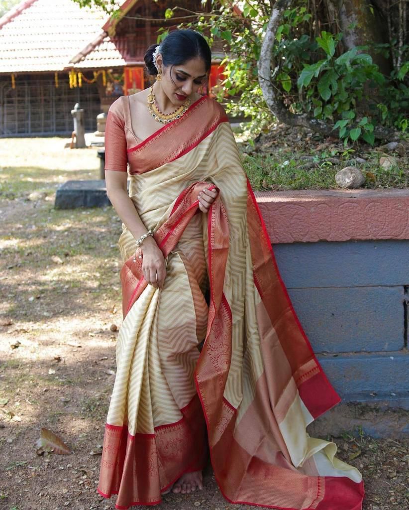 Ethinic Pocket Red Bordered Soft Silk Jacquard Zari Weaving Saree.