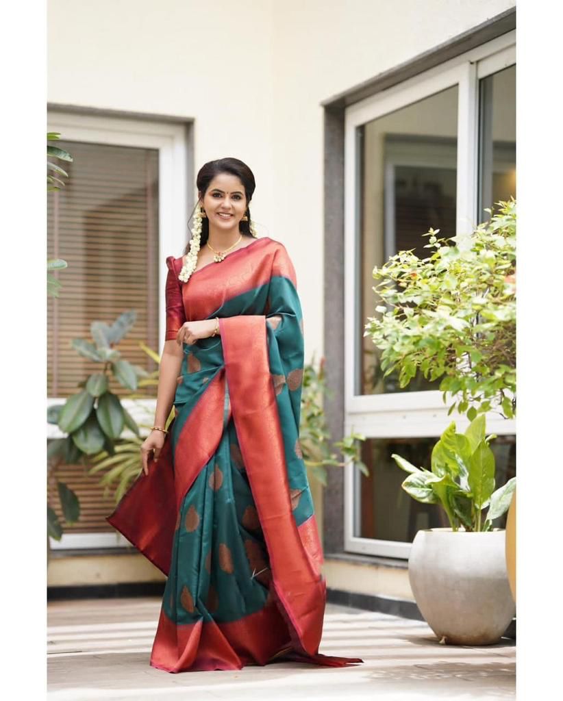 FIROZI Banarasi zari woven Silk Saree