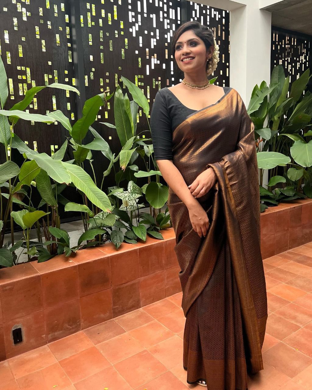Banarasi zari woven BLACK GOLDEN SAREE