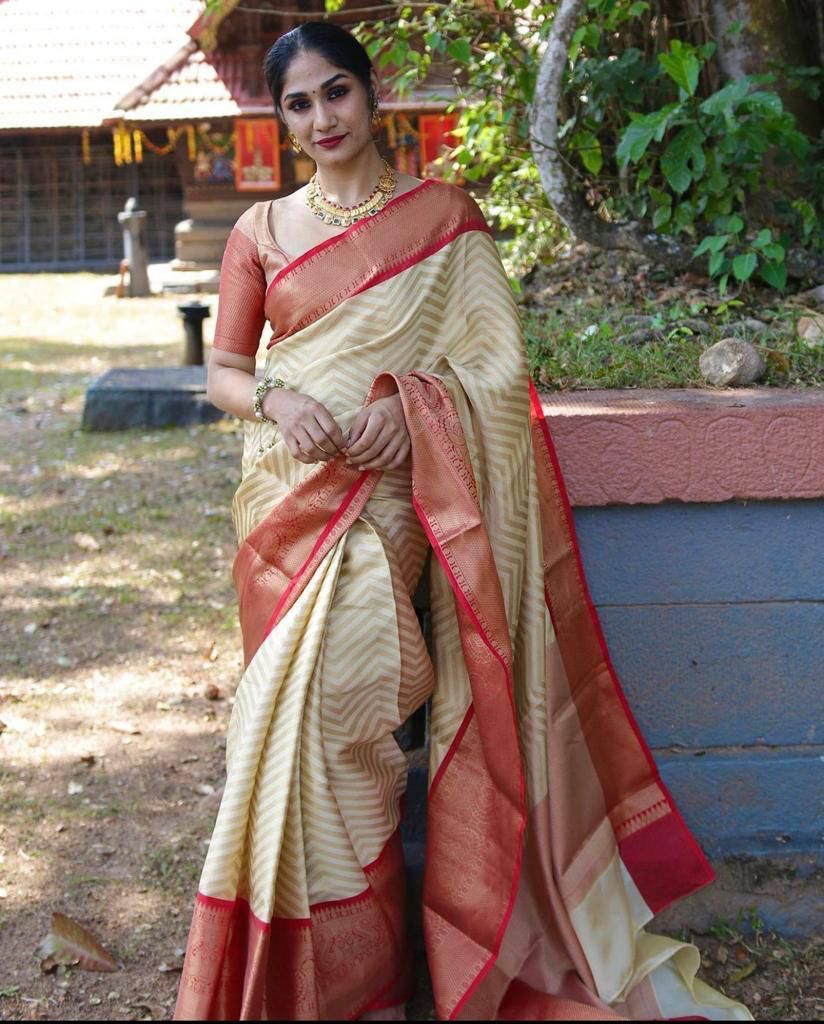 Ethinic Pocket Red Bordered Soft Silk Jacquard Zari Weaving Saree.