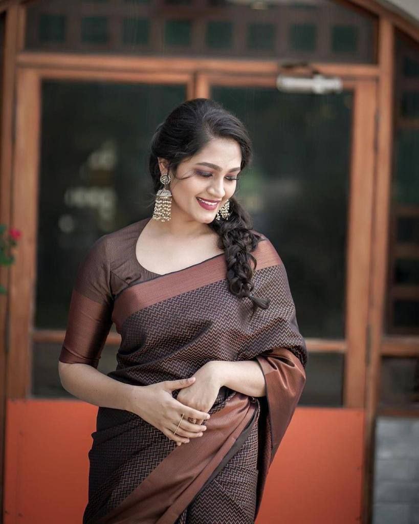 Banarasi copper zari woven SOFT SILK saree