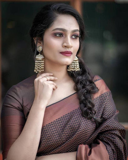 Banarasi copper zari  woven SOFT  SILK saree