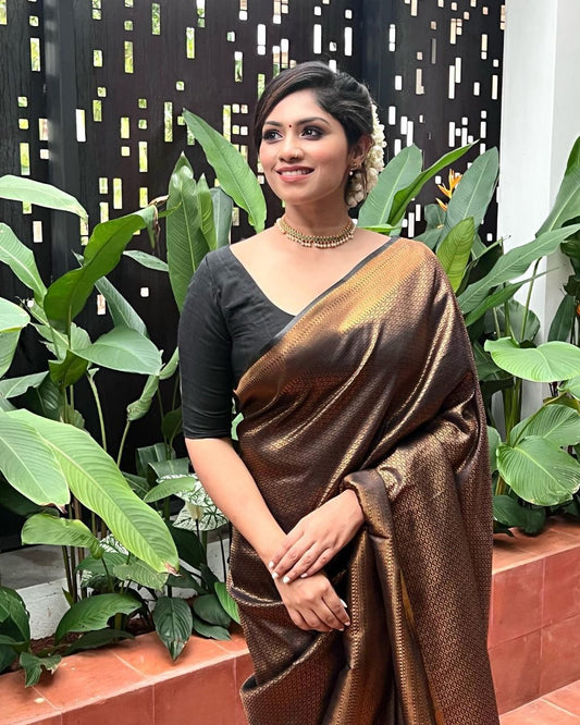 Banarasi zari  woven BLACK GOLDEN SAREE