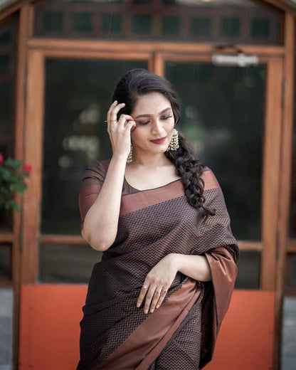 Banarasi copper zari  woven SOFT  SILK saree
